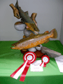 2010-trutta